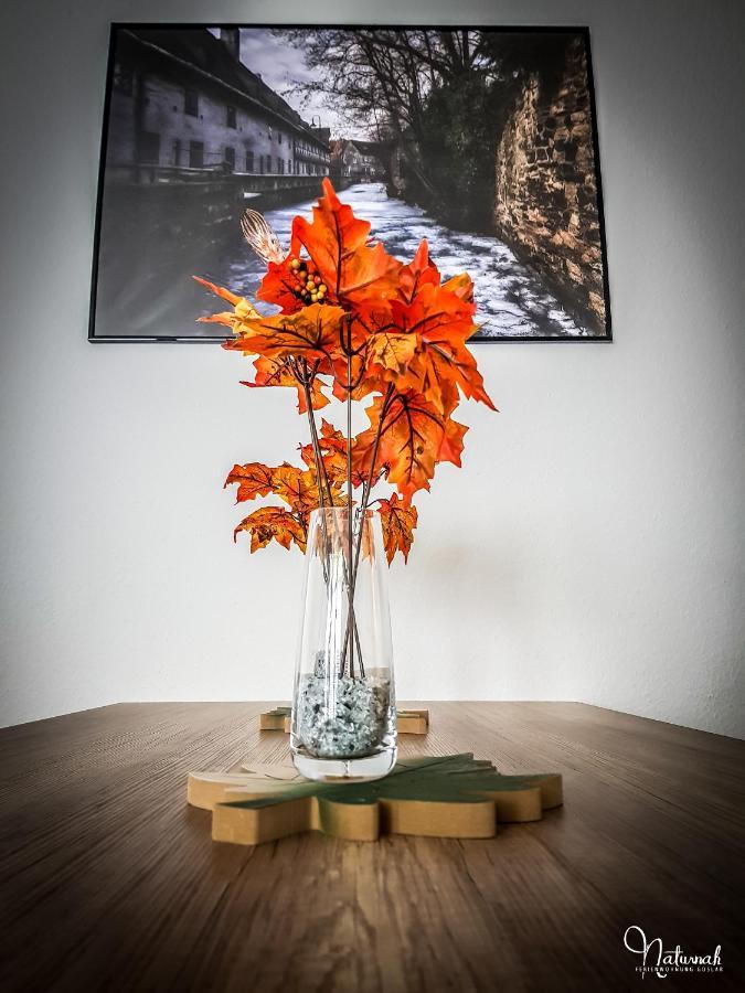 גוסלר Ferienwohnung Naturnah מראה חיצוני תמונה
